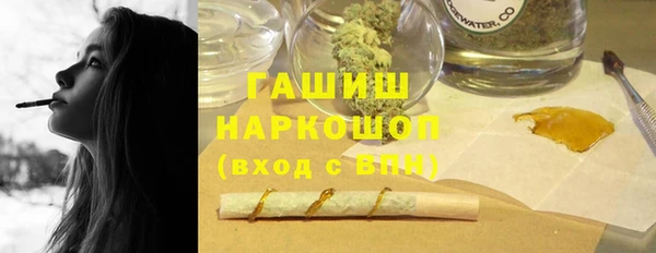 соль ск Дмитриев