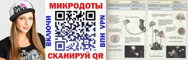даркнет сайт  Ирбит  Галлюциногенные грибы MAGIC MUSHROOMS 